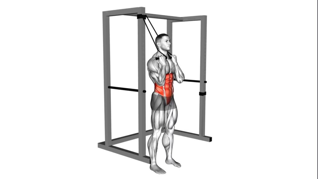 Band Standing Crunch exercise for abs and core strength — Fitabro.com