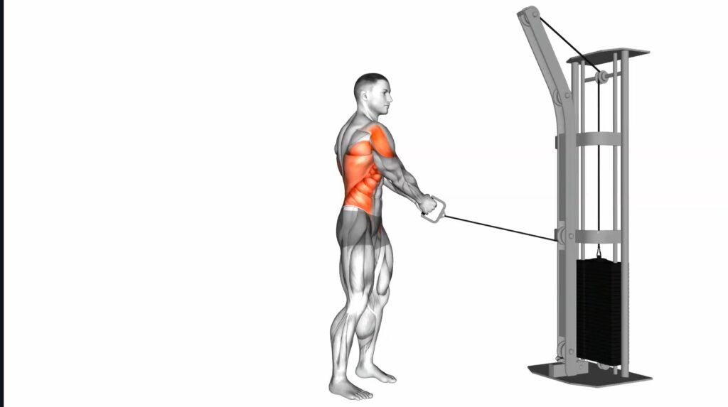 Band Standing Lift exercise for core and oblique muscles — Fitabro.com